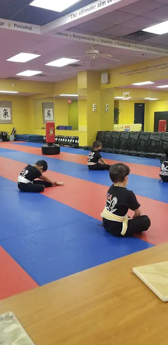 USA Professional Karate Studio Picture 2