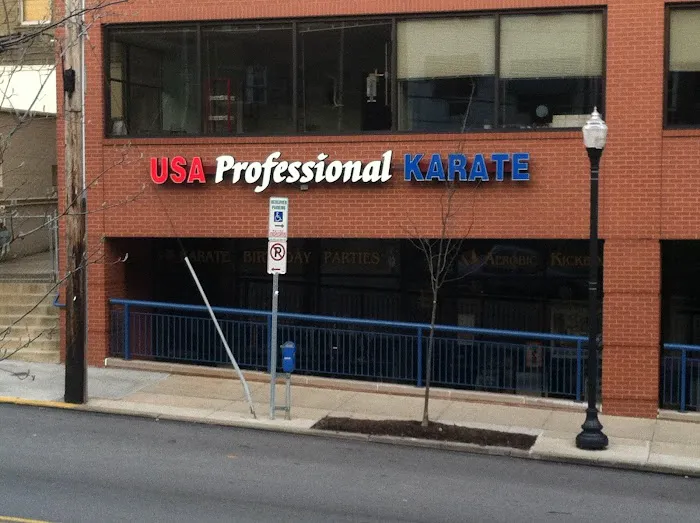 USA Professional Karate Studio Picture 1