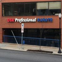 USA Professional Karate Studio ico