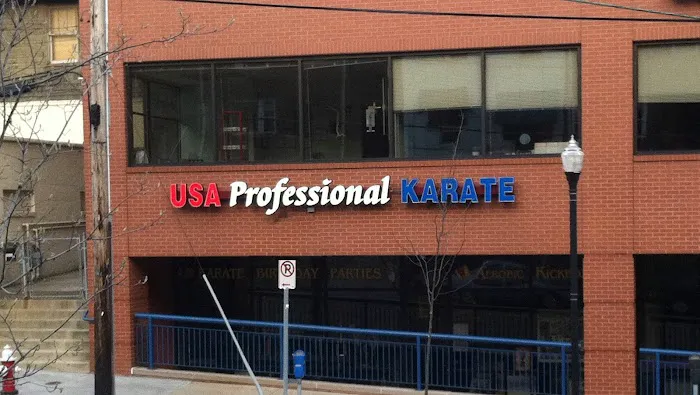 USA Professional Karate Studio Picture 3