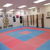 C S Kim Karate Inc ico
