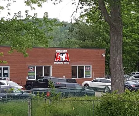 Visionary Martial Arts-Oakmont