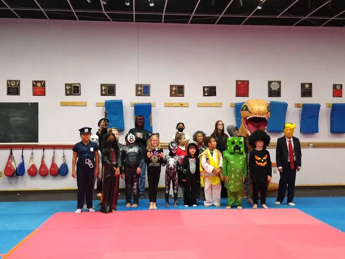 Tang Soo Do Karate Academy Picture 6