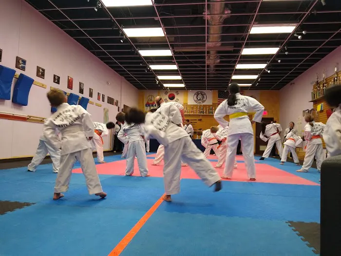 Tang Soo Do Karate Academy Picture 5