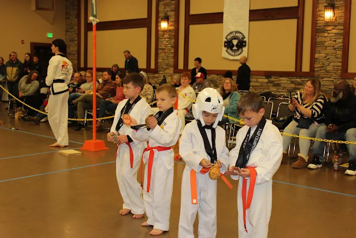 Tang Soo Do Karate Academy Picture 4