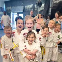 No Limits ATA Martial Arts ico