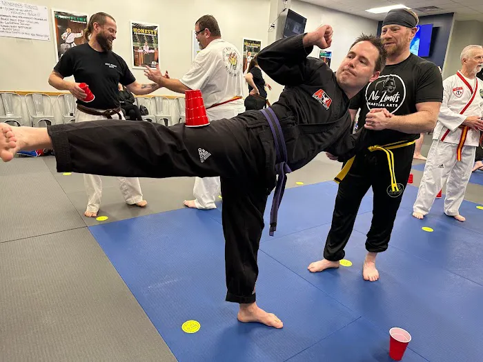 No Limits ATA Martial Arts Picture 2
