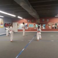 Tang Soo Do Karate College ico