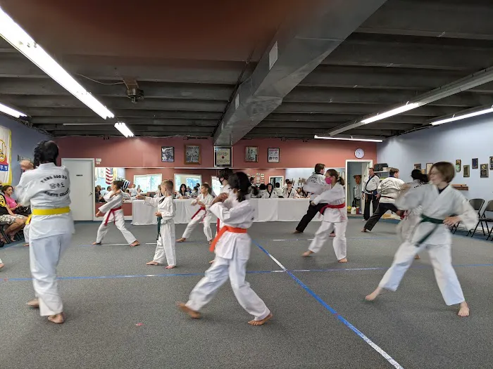 Tang Soo Do Karate College Picture 10