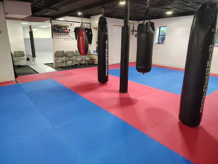 Absolute Martial Arts Picture 1