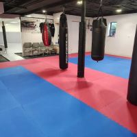Absolute Martial Arts ico