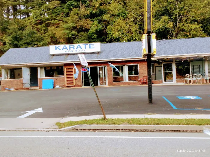 C S Kim Karate Picture 5