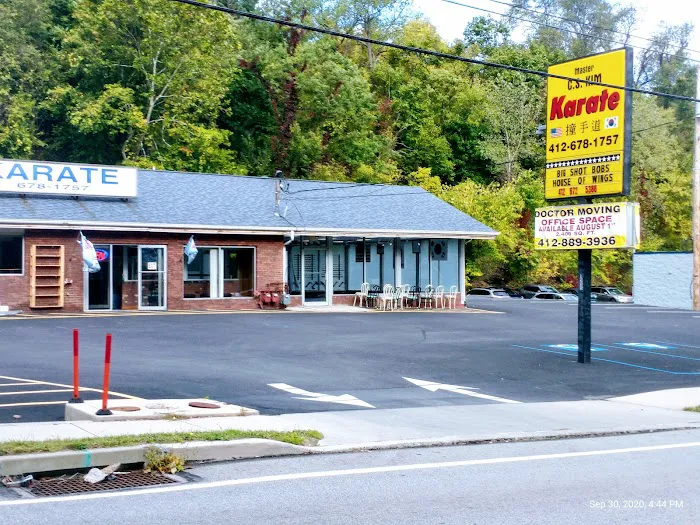 C S Kim Karate Picture 10