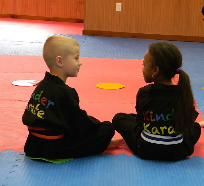 Kinder Karate Bethel Park Picture 10