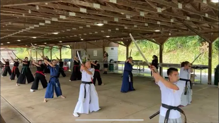 Roaring Lion Martial Arts Picture 5