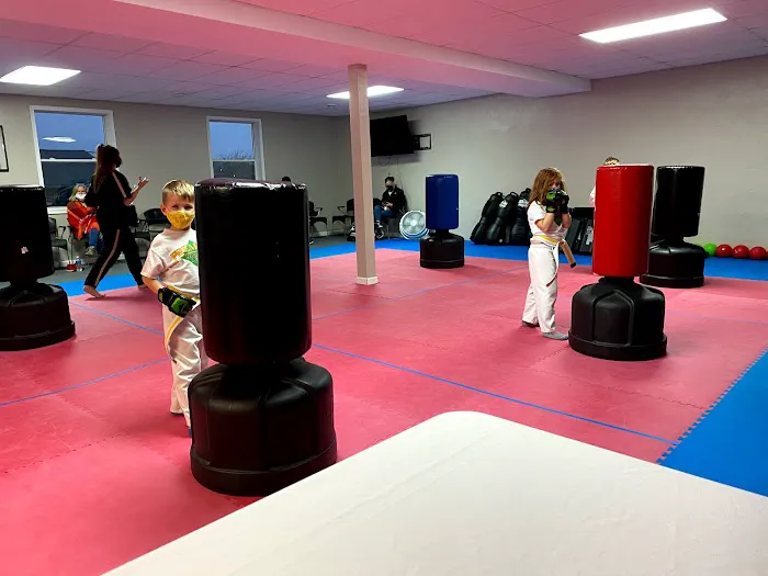 Premier Martial Arts Oakdale Picture 3