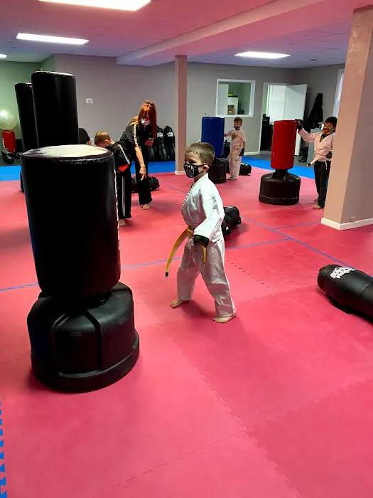 Premier Martial Arts Oakdale Picture 1