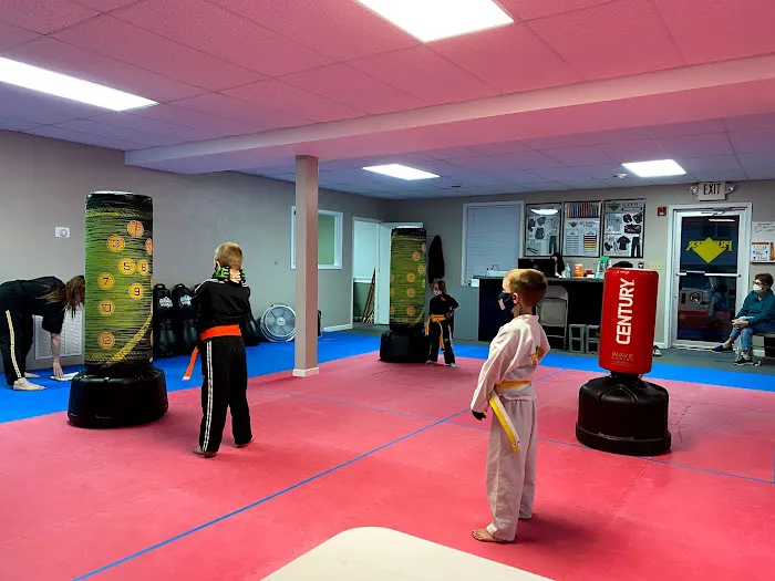 Premier Martial Arts Oakdale Picture 4
