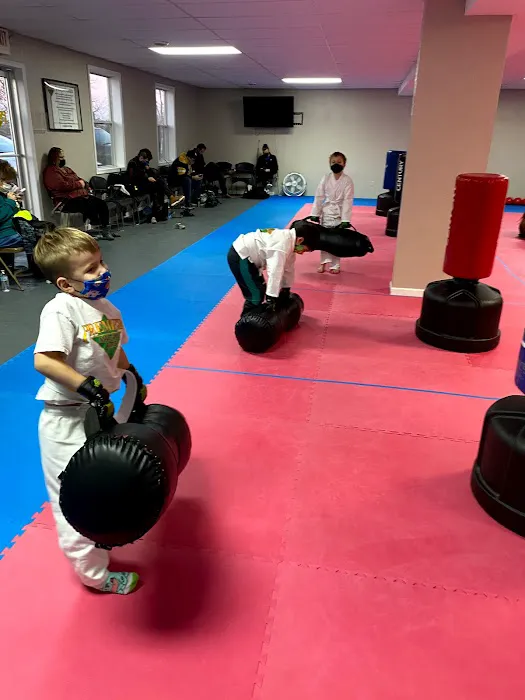 Premier Martial Arts Oakdale Picture 5