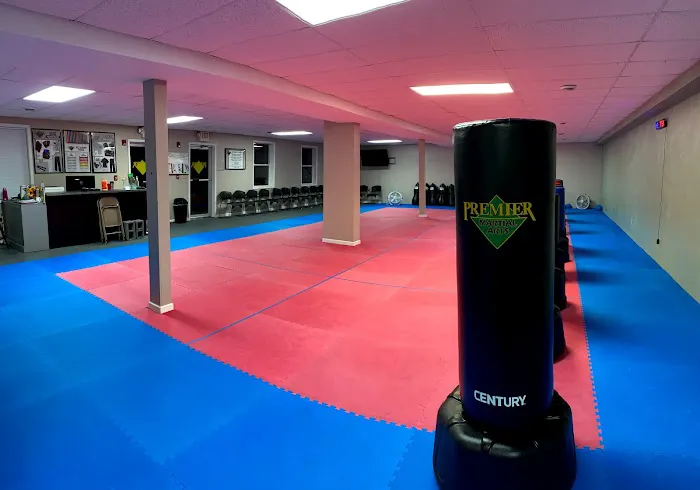 Premier Martial Arts Oakdale Picture 10