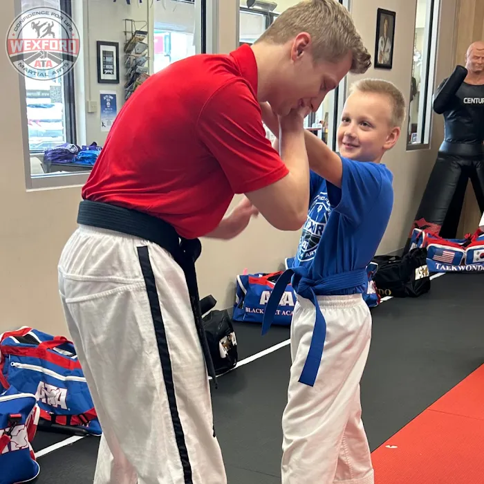 ATA Martial Arts Wexford Picture 6