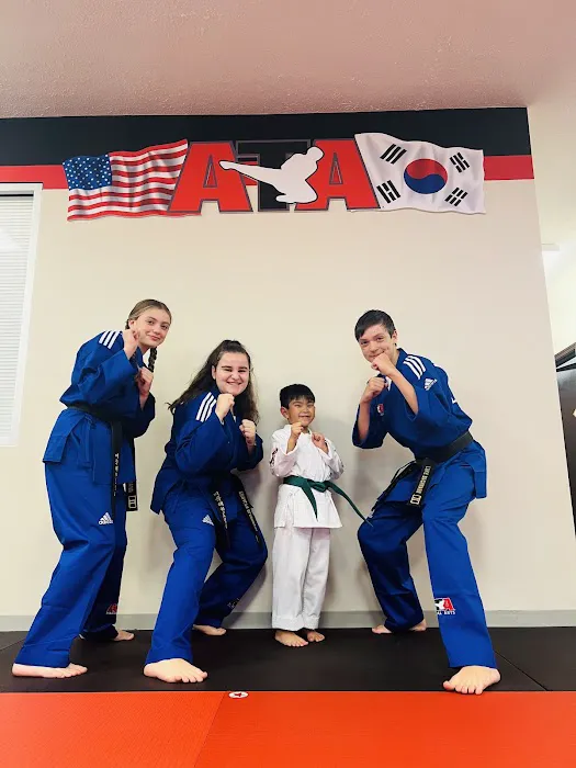 ATA Martial Arts Wexford Picture 4