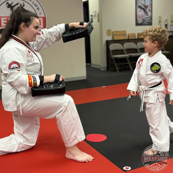 ATA Martial Arts Wexford Picture 9