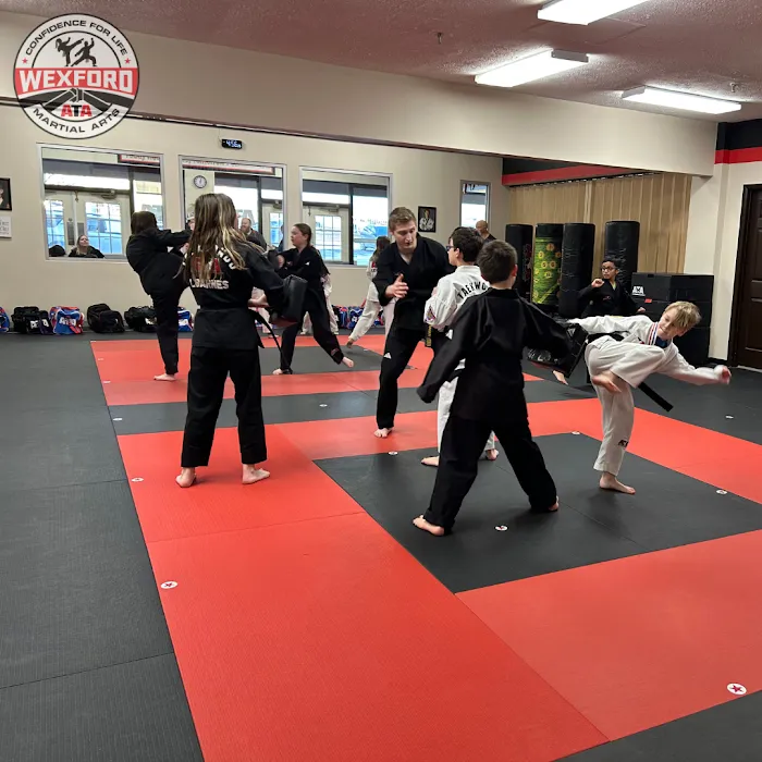 ATA Martial Arts Wexford Picture 7