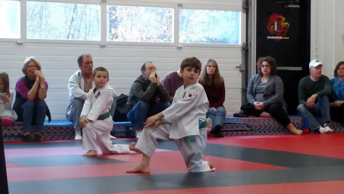 Zang TKD Picture 1