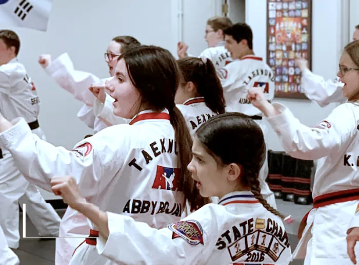 Sewickley ATA Martial Arts Picture 1