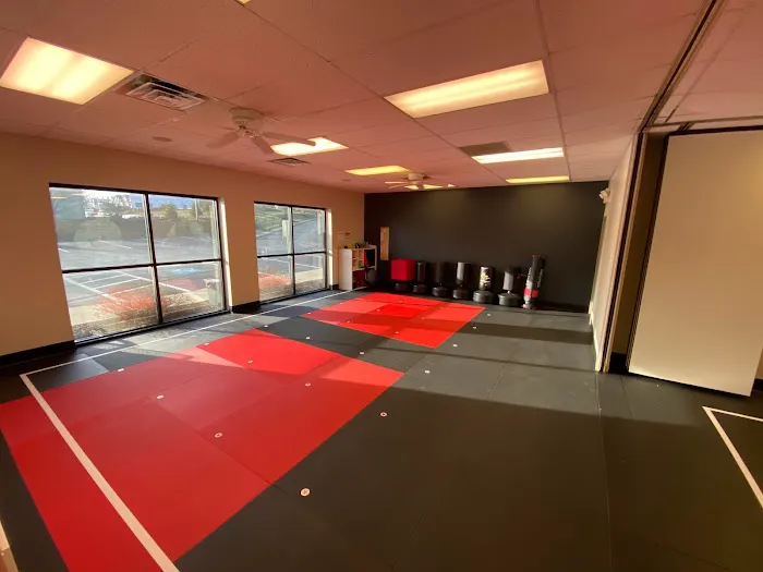 Cranberry ATA Martial Arts Picture 1