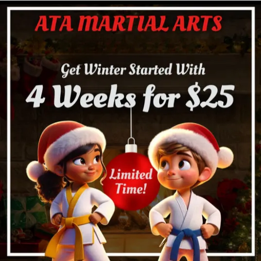 ATA Imperial Martial Arts Academy Picture 6