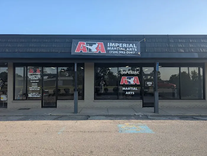ATA Imperial Martial Arts Academy Picture 10
