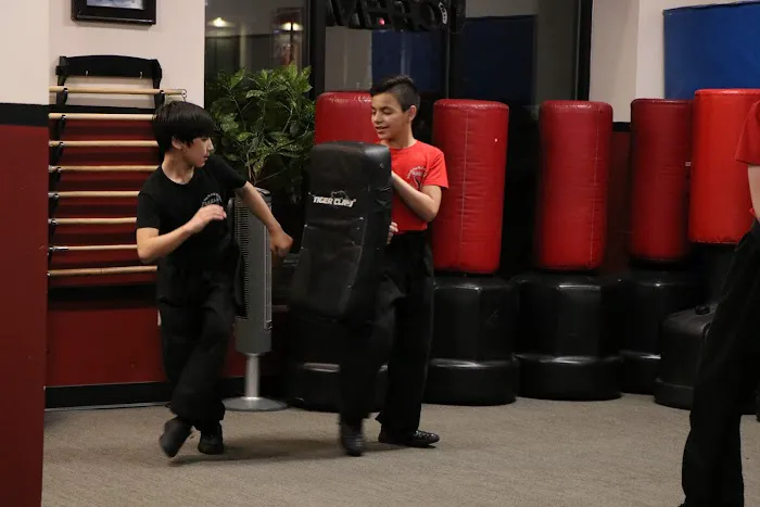 Rothrock's Kung-Fu & Tai Chi Wexford Picture 4