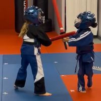 Victory Martial Arts ico