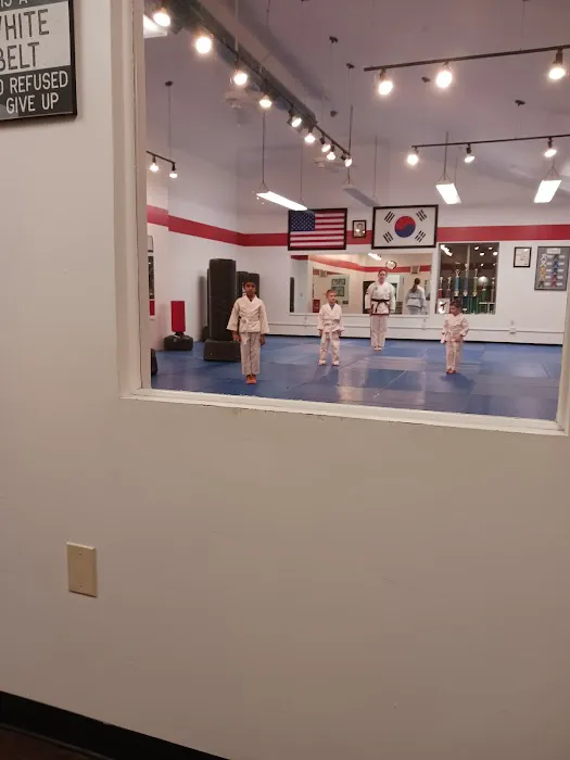 Young Brothers Tae Kwon-Do Picture 3