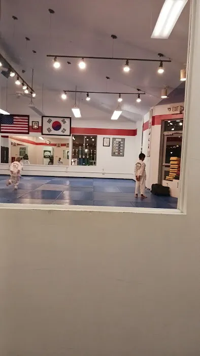 Young Brothers Tae Kwon-Do Picture 6