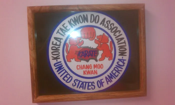 Blue Dragon Tae Kwon Do Picture 8