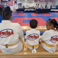 True Martial Arts ico