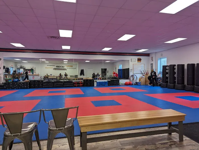 True Martial Arts Picture 5