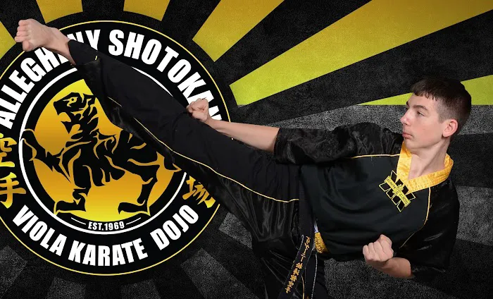 Allegheny Shotokan (Viola Karate) Martial Arts Picture 4