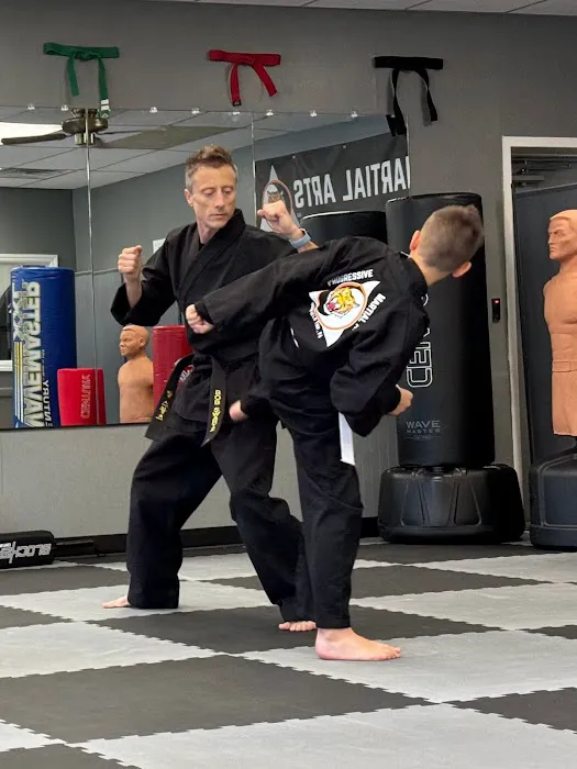 Progressive Martial Arts LLC Picture 2