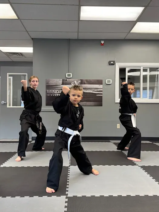 Progressive Martial Arts LLC Picture 7