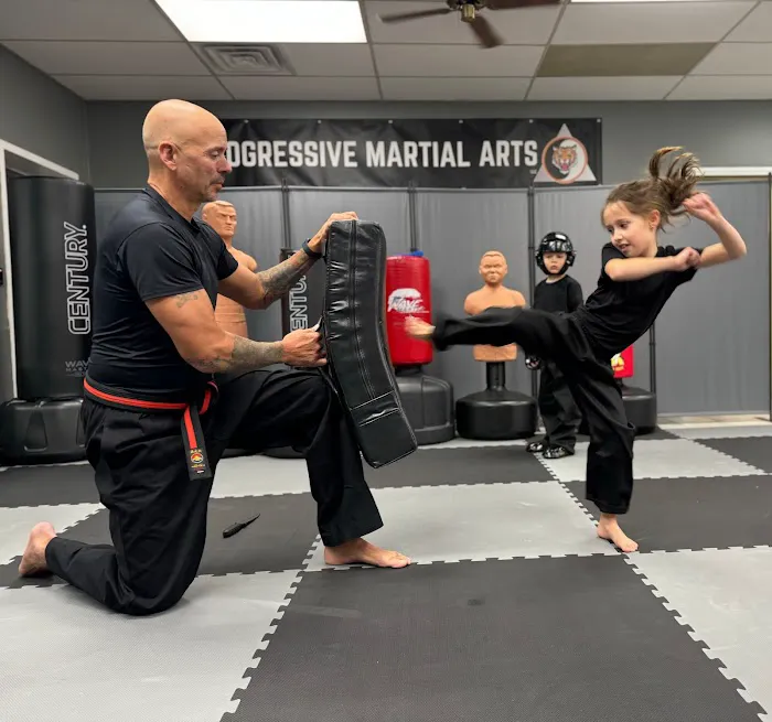 Progressive Martial Arts LLC Picture 5