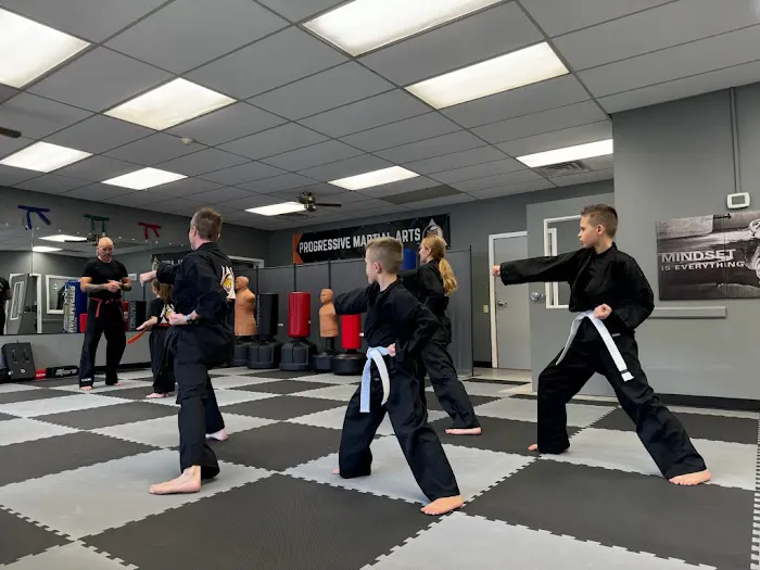 Progressive Martial Arts LLC Picture 6