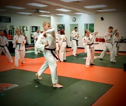 ATA Martial Arts Picture 3