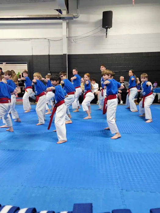 BRAVE Martial Arts Picture 5