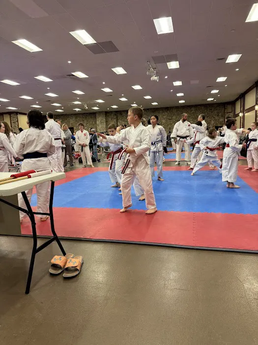 BRAVE Martial Arts Picture 2