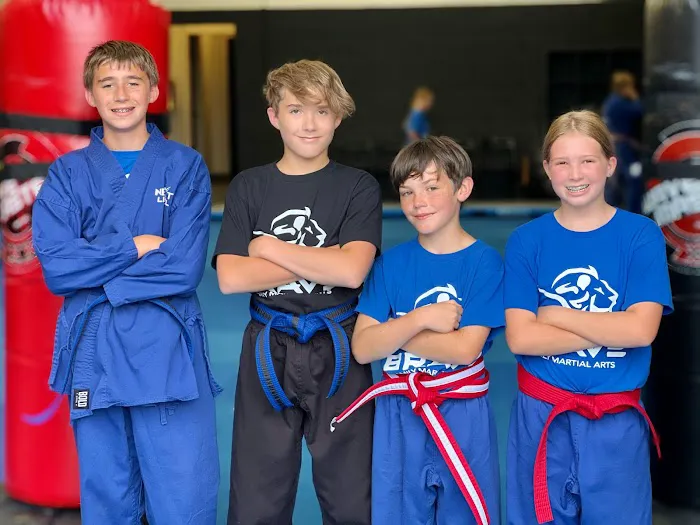 BRAVE Martial Arts Picture 6