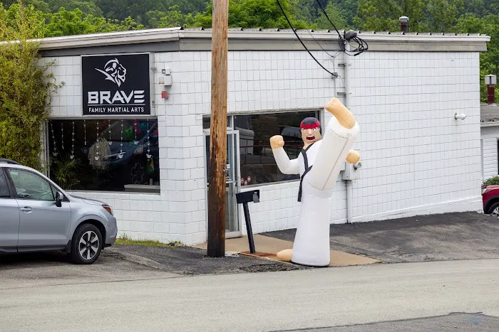 BRAVE Martial Arts Picture 10